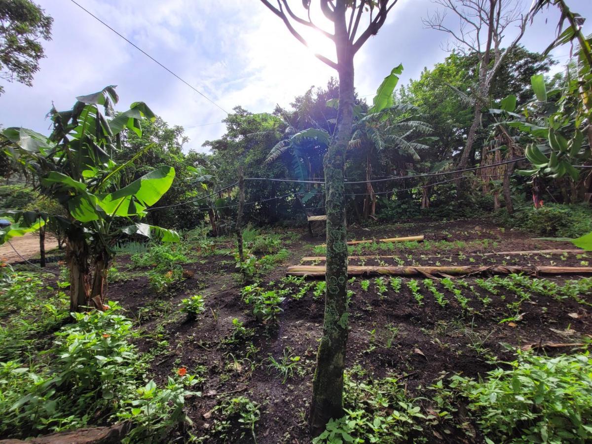 Granja Los Campesinos Monteverde Exterior photo