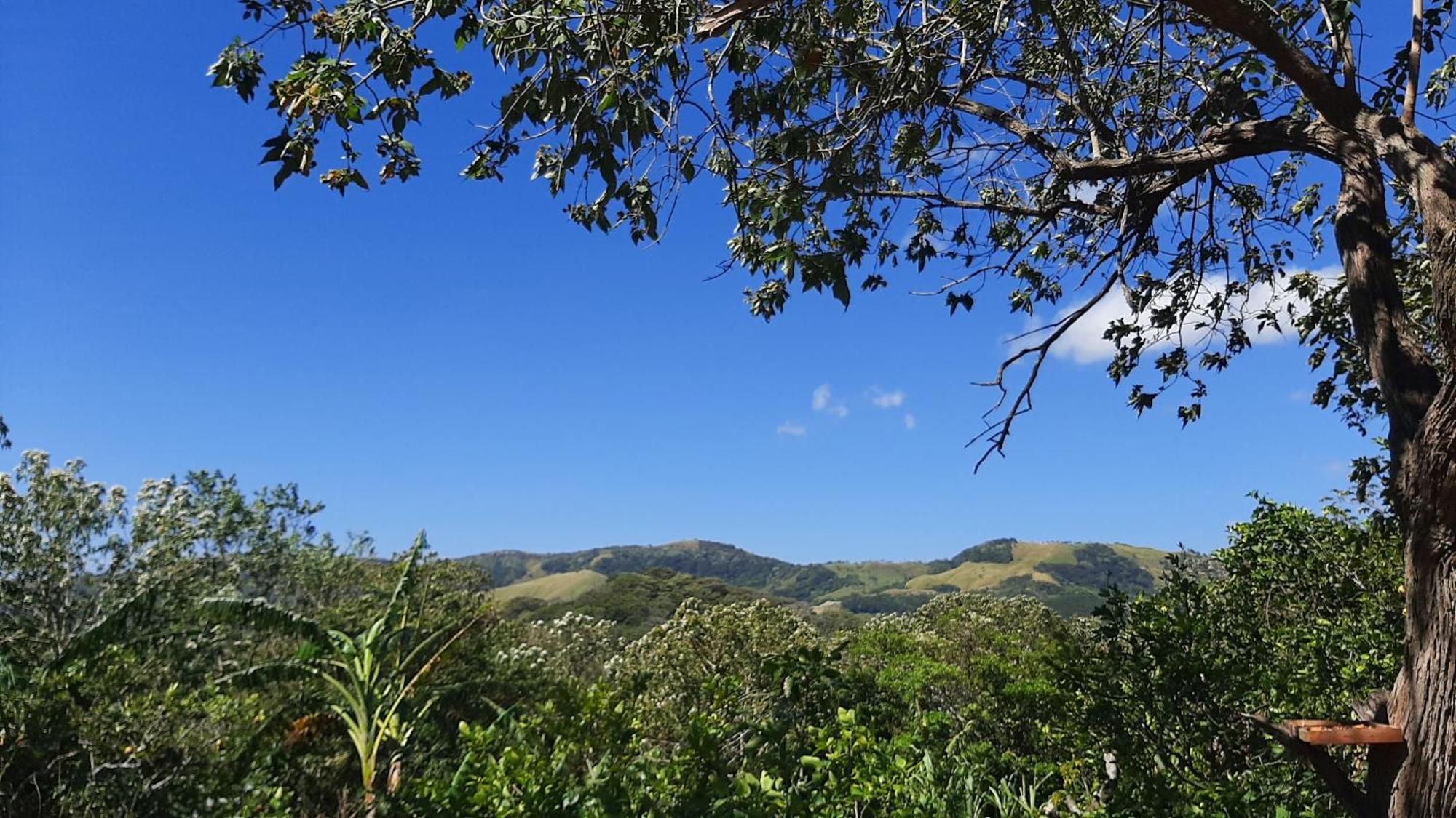 Granja Los Campesinos Monteverde Exterior photo